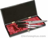 KE-DMS300-small.jpg