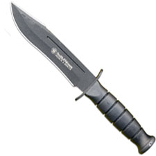 SW-CKSUR1-small.jpg