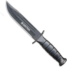SW-CKSUR2-small.jpg
