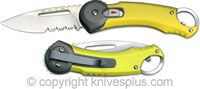 Buck Redpoint Yellow