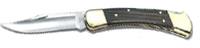 Buck Folding Hunter