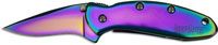 Kershaw Rainbow Chive