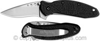 Kershaw Scallion
