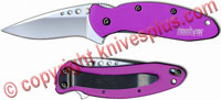 Kershaw Scallion Purple Aluminum