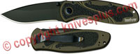Kershaw Blur OD