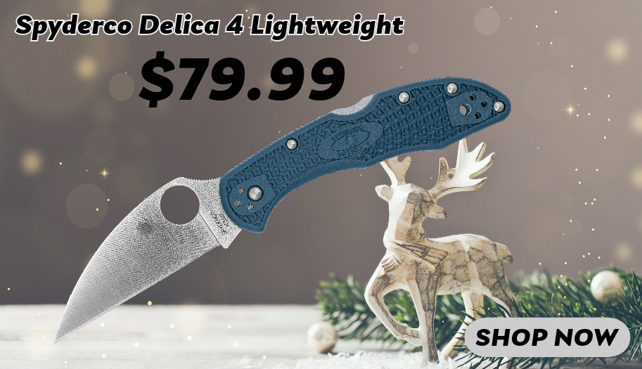 Delica-4.png
