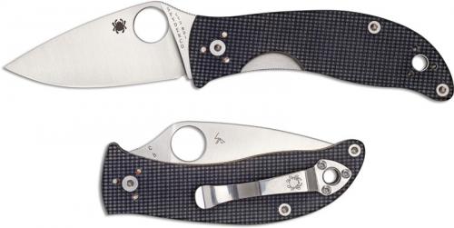 Spyderco C222GPGY Alcyone Knife EDC Linerlock Folding Knife Drop Point with Gray G10 Handle