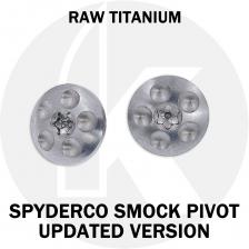 Replacement Spyderco Smock Large Head Pivot Screws (Updated Version) � Raw Titanium