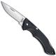 Buck Knives Buck Nano Bantam Knife, BU-283BK