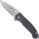 Buck Inertia Knife, BU-293BKS