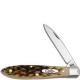 Case Barehead Teardrop Gent Knife, Amber Bone SS, CA-246
