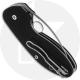 Spyderco C246GPS Insistent Knife - 2.48 Inch Part Serrated Drop Point - Black G10 - Liner Lock