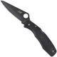 Spyderco Knives Spyderco Pacific Salt, Black Blade, SP-C91PBBK